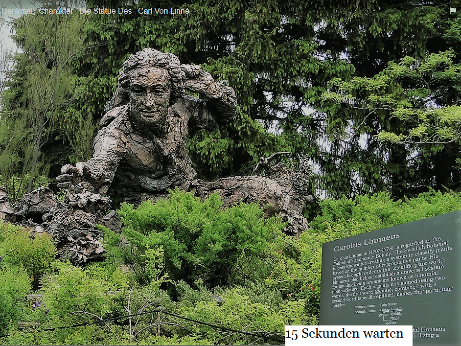 Botanische Garten Doku A Gartendoku Garten Doku Bilderwebseite