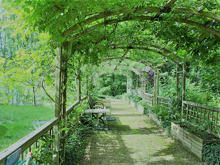 Botanische Gärten Berlin E) BILDERWEBSEITE BOTANIK AQUARIUM