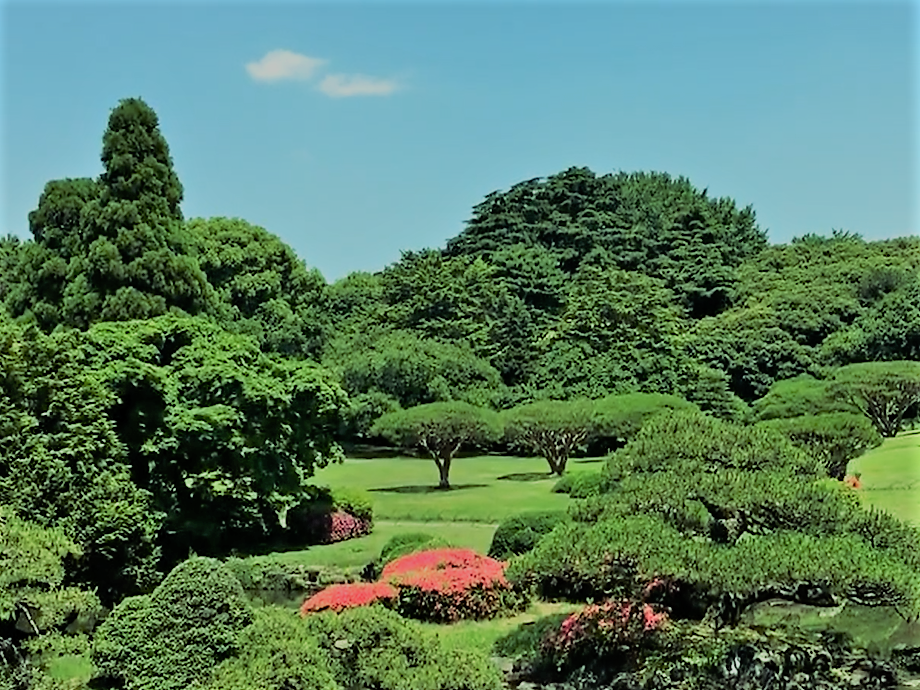 Botanische Gärten Doku A) Gartendoku, Garten Doku