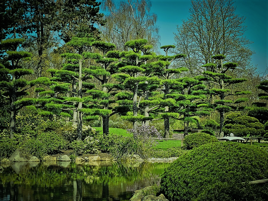 Botanische Gärten Doku A) Gartendoku, Garten Doku