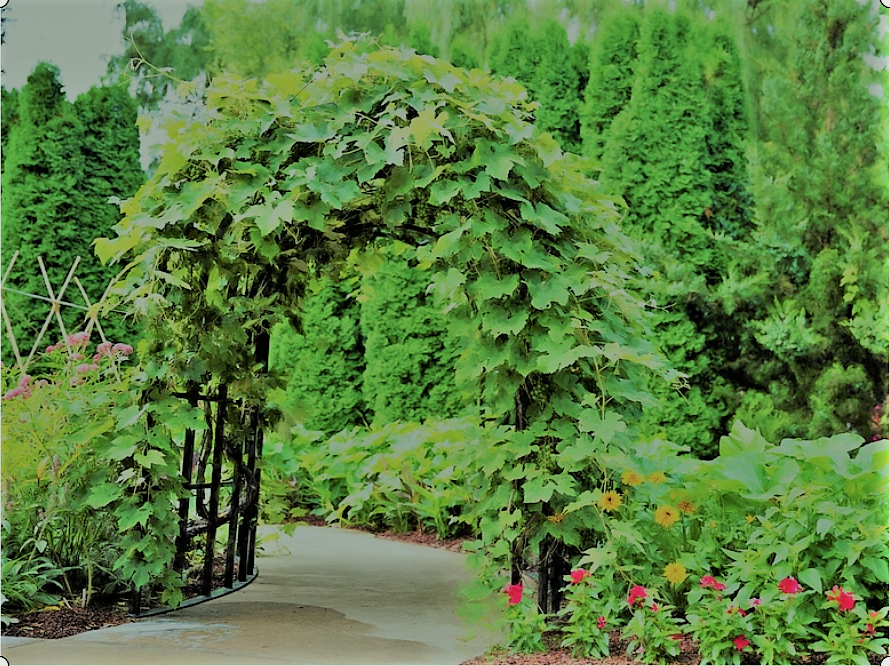 Botanische Gärten Doku A) Gartendoku, Garten Doku ...