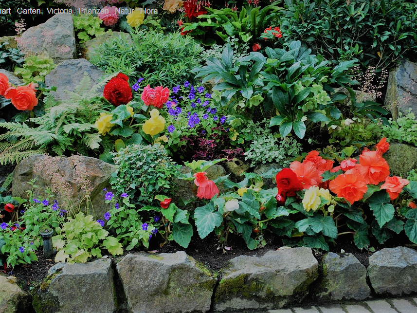 Botanische Gärten Doku A) Gartendoku, Garten Doku